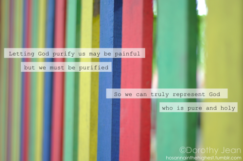 tumblr_lpafggfnTe1qzf1dro1_500