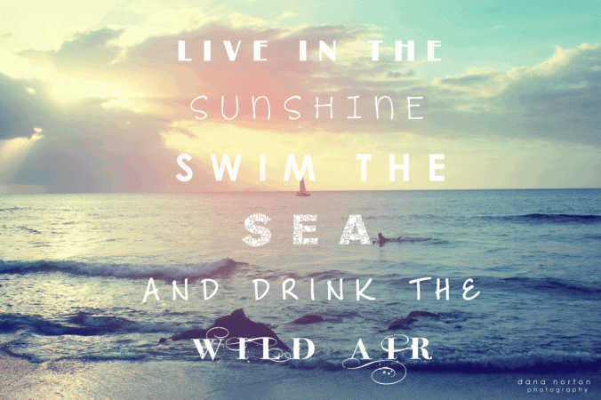 tumblr_m55oywUoZX1rt1levo1_1280